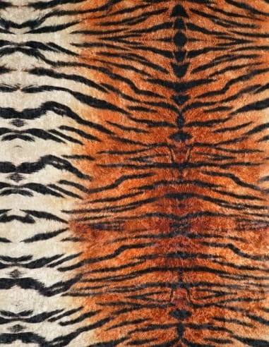 tkanina-tygrys-01-crush-velvet-.jpg