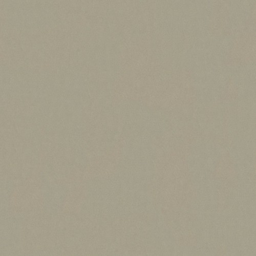 Tkanina welurowa Riviera 15 (cappuccino)